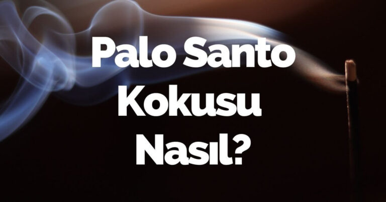 Palo Santo Kokusu Nasıl?